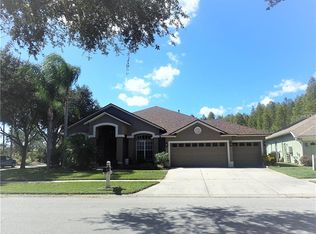 19337 Wind Dancer St, Lutz, FL 33558