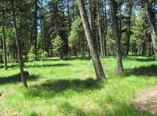 2017 Boy Scout Rd, Seeley Lake, MT 59868
