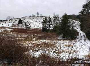Tbd Dolinger Rd., Whitetop, VA 24292