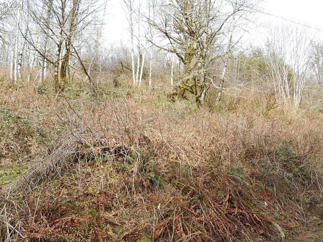 2nd image of E Beaver Creek Rd