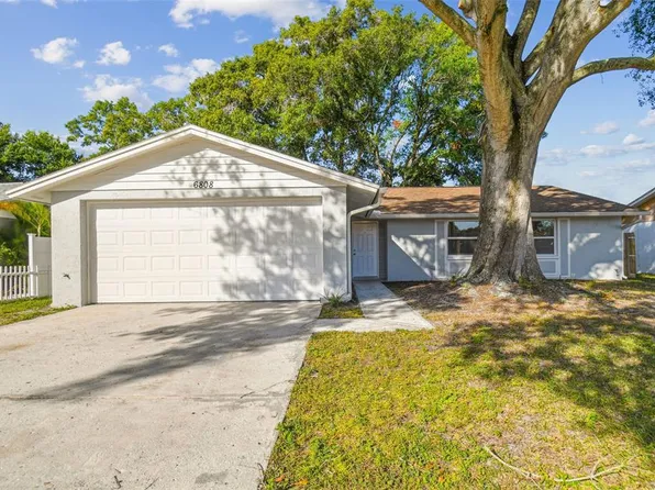 6808 Wayside Ct, Tampa, FL 33634