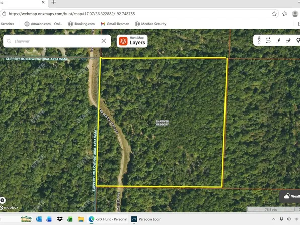 001-07987-004 Fee Hollow Ln, Yellville, AR 72687