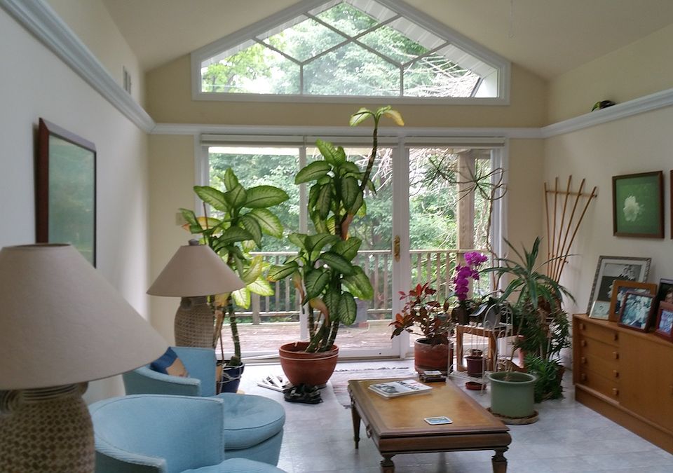 Sun room, vaulted ceiling