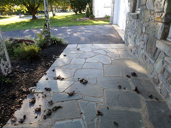 5th image of 45 Robinson Ave