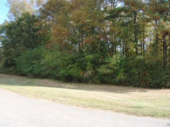 0 6th Ave NW, Fayette, AL 35555