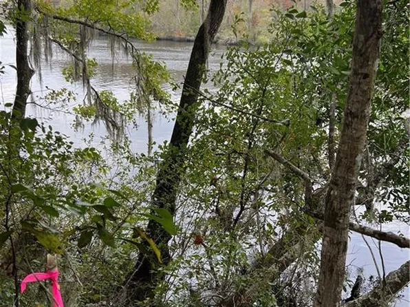 0 Settlers Bluff Rd #15, Folkston, GA 31537