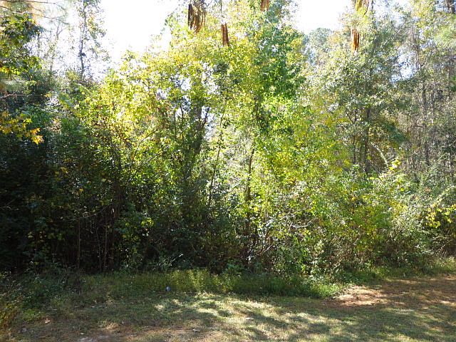 2nd image of 6071 Us Highway 84 E