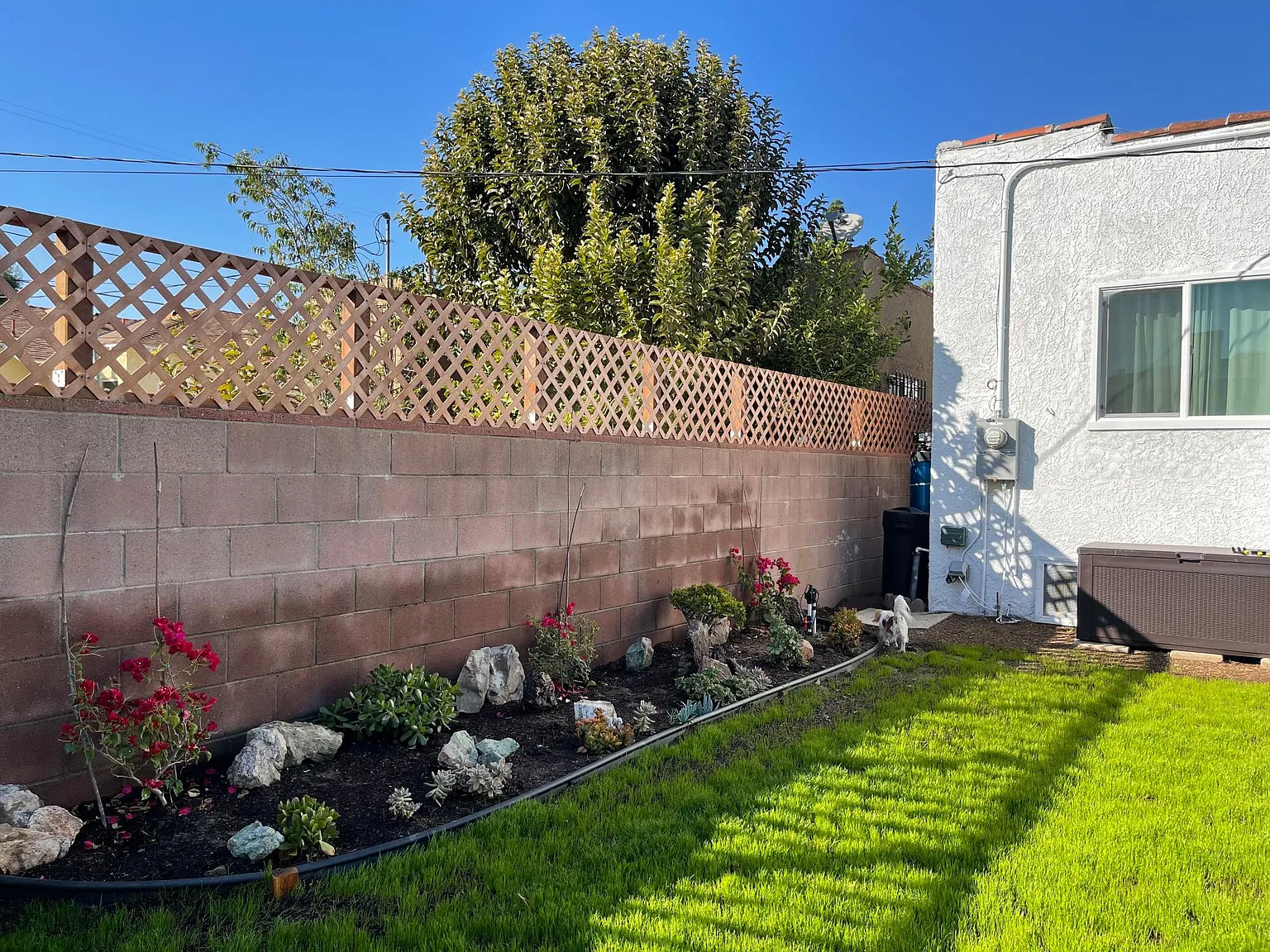 1 bed, 325 sqft, $2,000 — Photo 3