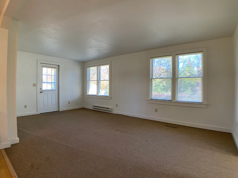 215CanningSt - LivingRoom(1)_11242020