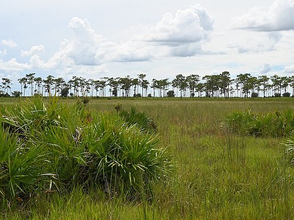 5th image of 0 County Line Rd E Lot Wp001