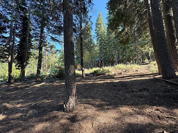 3rd image of 11710 Tundra Dr