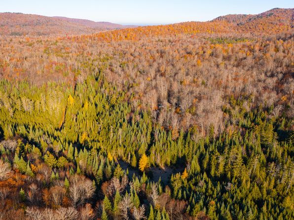 134 Haystack Mountain Rd, Piercefield, NY 12973