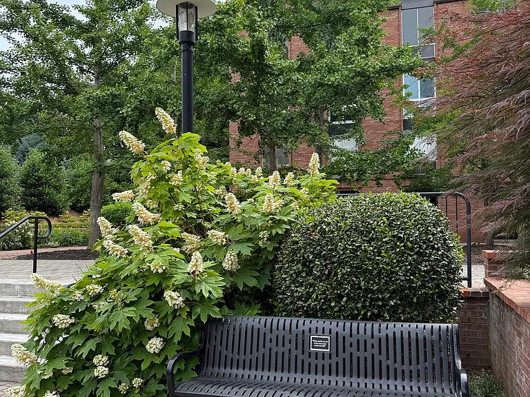 1400 Kenesaw Ave #33B — Photo 52
