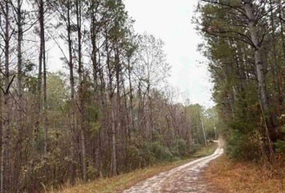 1st image of 12578 Paul Duncan Rd