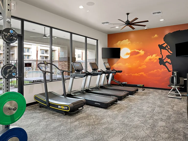 Fitness Center Cardio Machines