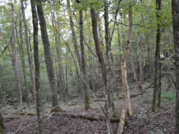 0 W Ln, Gainesboro, TN 38562