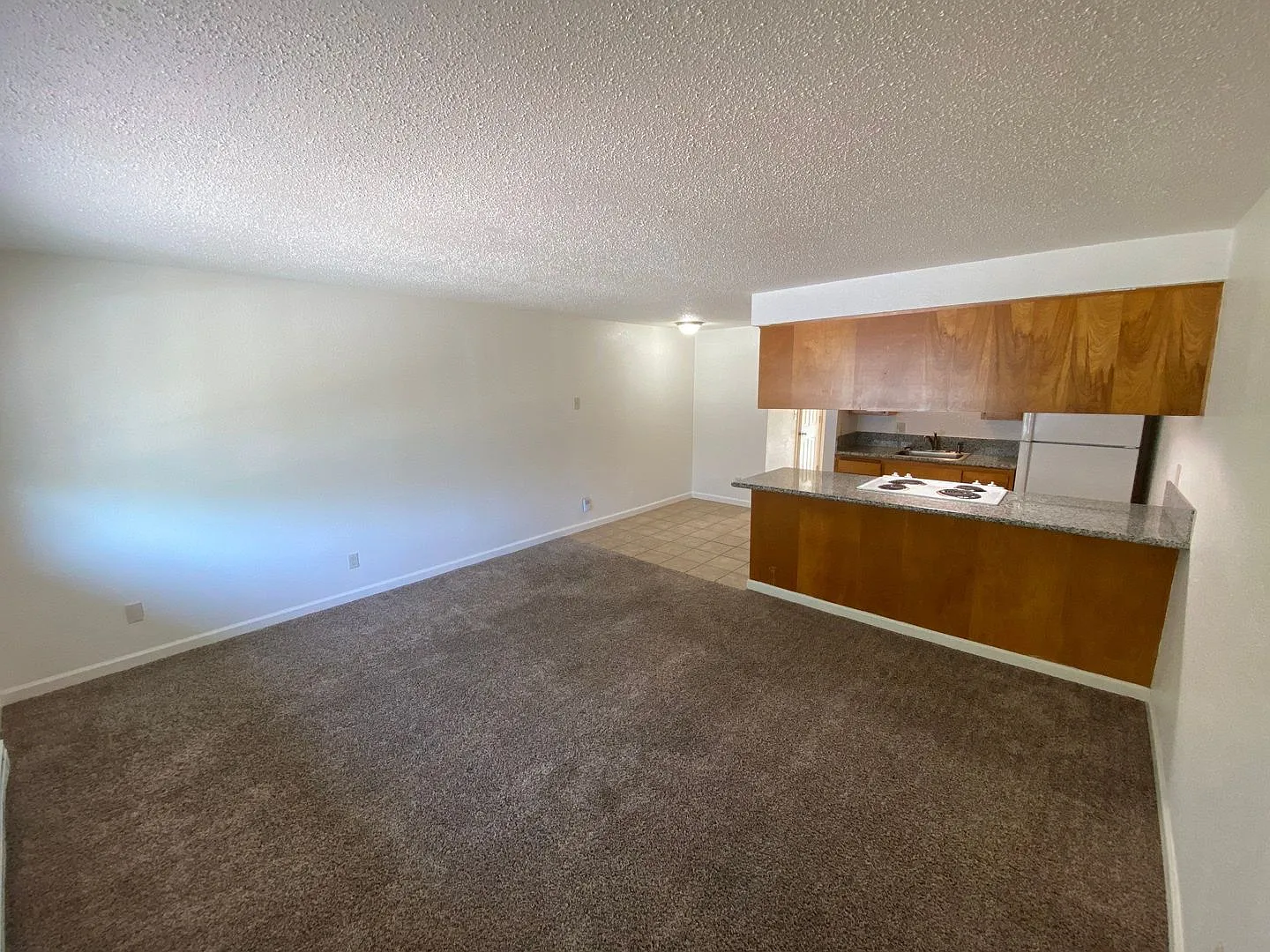 1 bed, 1.0 bath, 600 sqft, $1,150 — Photo 4