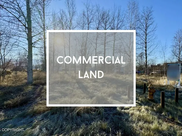 340 E Arctic Ave, Palmer, AK 99645