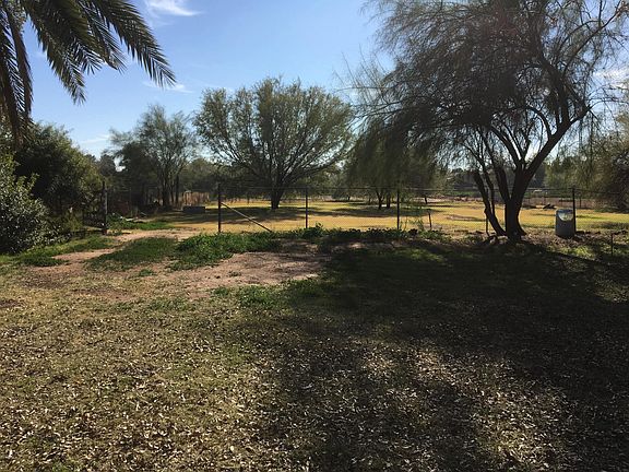Belmont Backyard 6