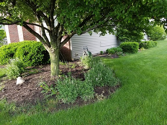 5th image of 2324 Omaha Pl