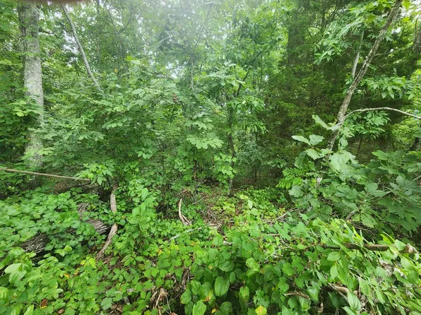 0 Lakeview Trail Dr, Holladay, TN 38341