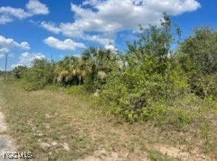 307 Nancy Ln, Labelle, FL 33935