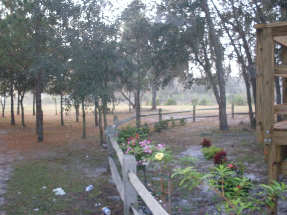 side driveway