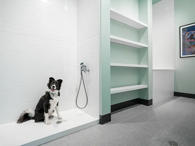 Pet-Friendly Amenities
