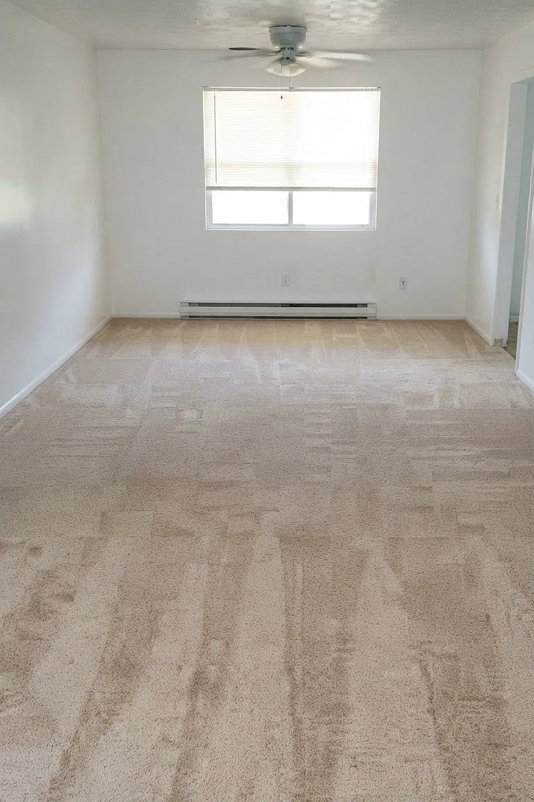 2 Estate Dr — Photo 4