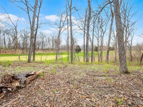 118 Summer Grace Ln, Saint Charles, MO 63304