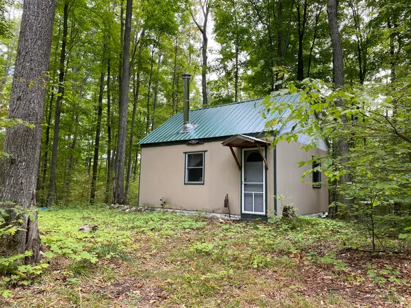 N Watkins Dr, Frederic, MI 49733