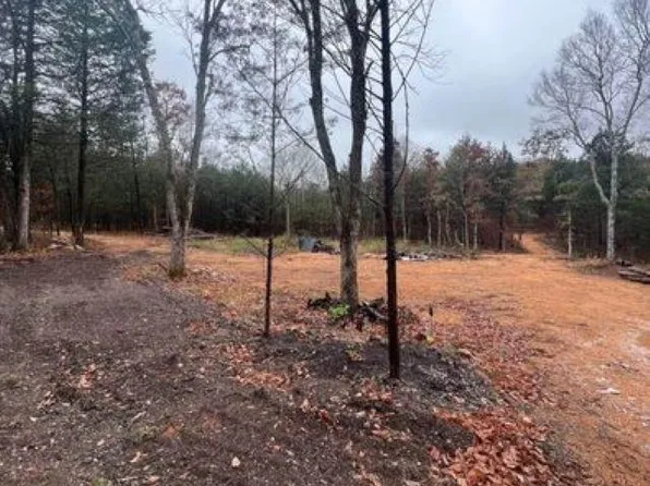 0 Doll Conway Rd #3, Clifton, TN 38425