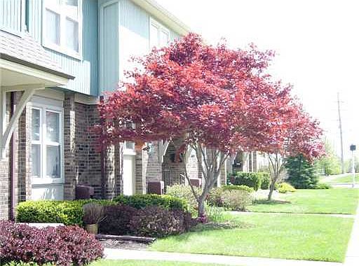1st image of 420 Hartman Ln