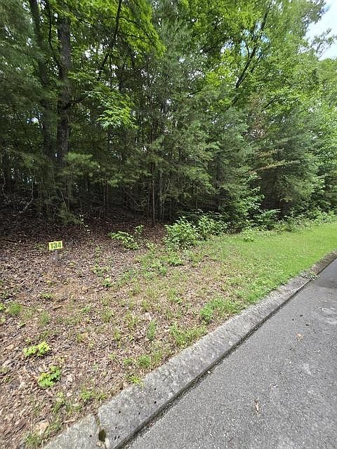 2nd image of 134 Lower Brow Rd Lot 134