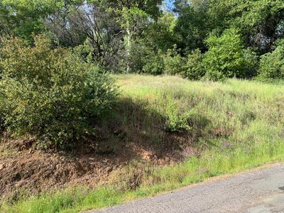 2193 Skunk Ranch Rd, Murphys, CA, 95247