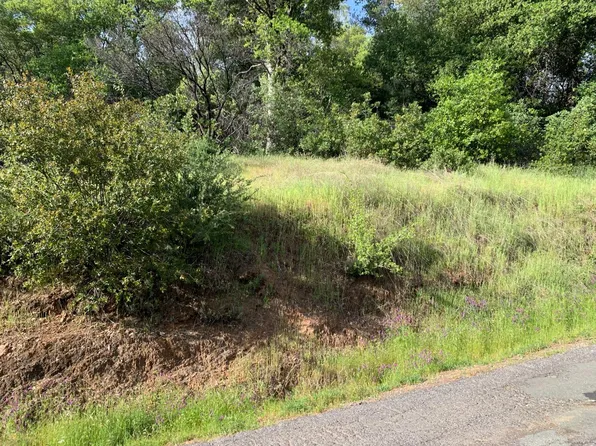 2193 Skunk Ranch Rd, Murphys, CA 95247