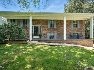 76 Tangleberry Ln, Afton, TN 37616