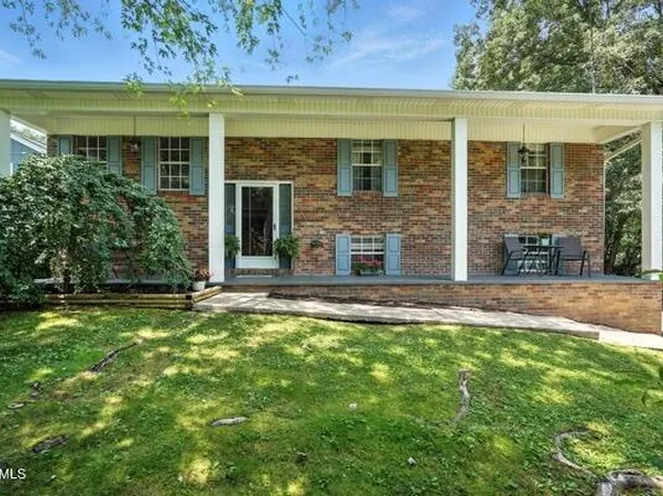 76 Tangleberry Ln, Afton, TN 37616