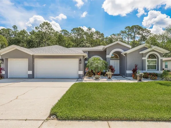 2619 Appaloosa Trl, Palm Harbor, FL 34685