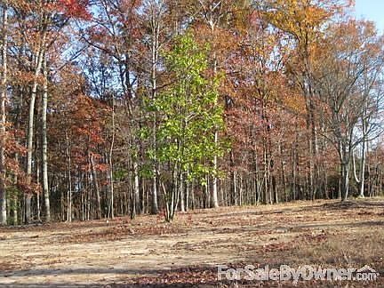 Your future homesite?