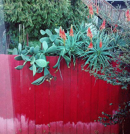 4th image of 56 Gould St