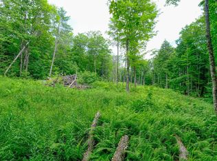 LOT 2A Preedom Hill Rd N, Ludlow, VT 05149