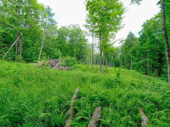Lot 2A Preedom Hill Road North, Ludlow, VT 05149