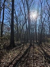 1st image of LOT 11 Nebo Acres