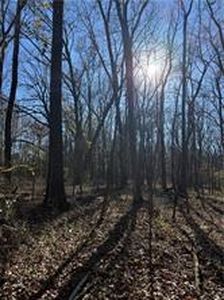 LOT 11 Nebo Acres, Dardanelle, AR, 72834