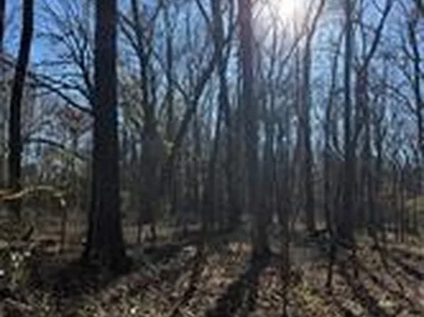 LOT 11 Nebo Acres, Dardanelle, AR 72834