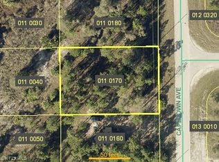 908 Capetown Ave, Lehigh Acres, FL 33974