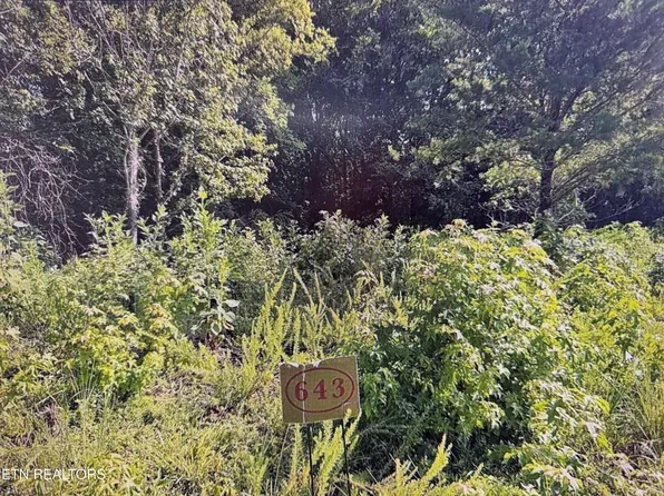 204 Majestic View Dr, Rockwood, TN 37854