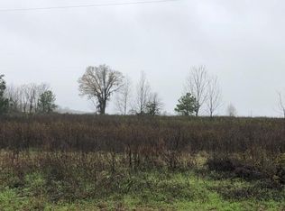 V/l Tippettville Rd, Hawkinsville, GA 31036