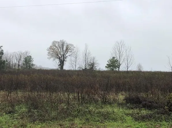 V/l Tippettville Rd, Hawkinsville, GA 31036
